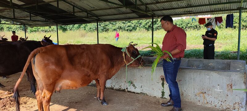 Farm life at Joy of Evergreen