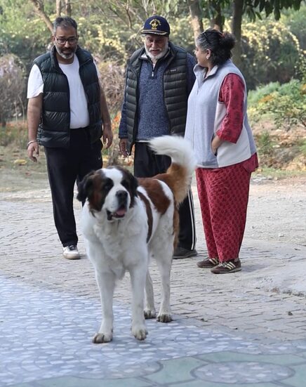 A family walk at Joy of Evergreen