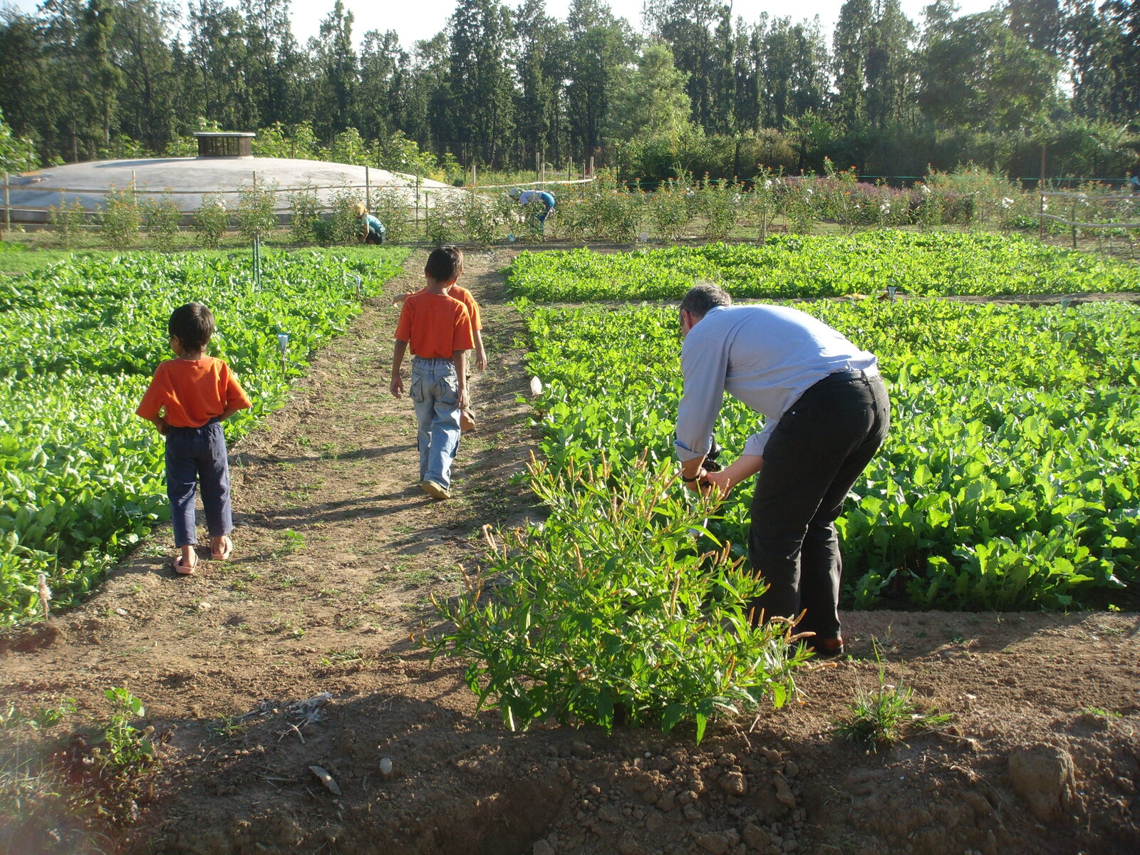 A family walking through the farm at Joy of Evergreen