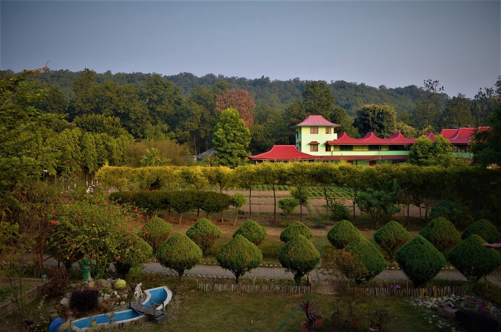 Aerial view of Joy of Evergreen among the forest