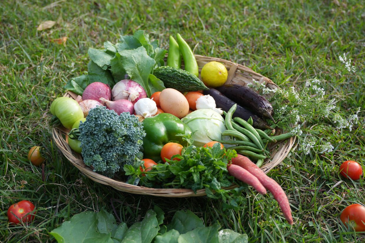 Fresh vegetables from the garden